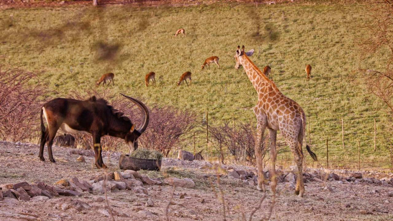 Uitkyk Guest Farm Hotel Usakos Luaran gambar