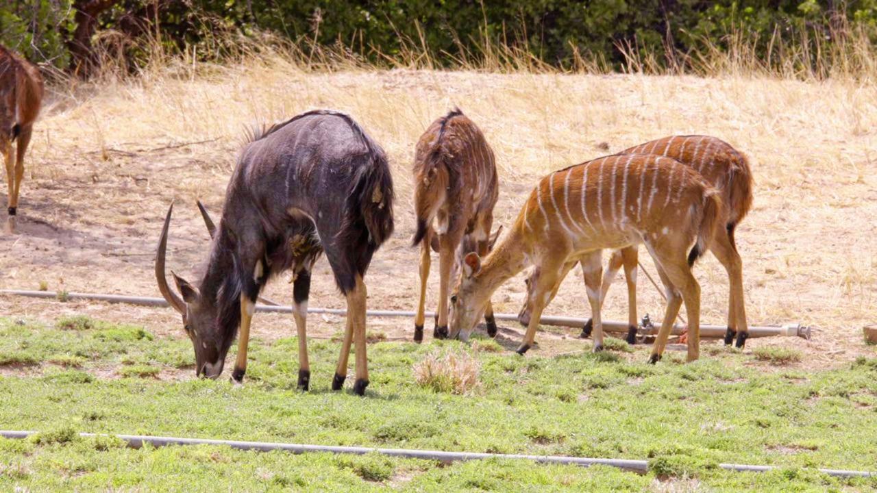 Uitkyk Guest Farm Hotel Usakos Luaran gambar