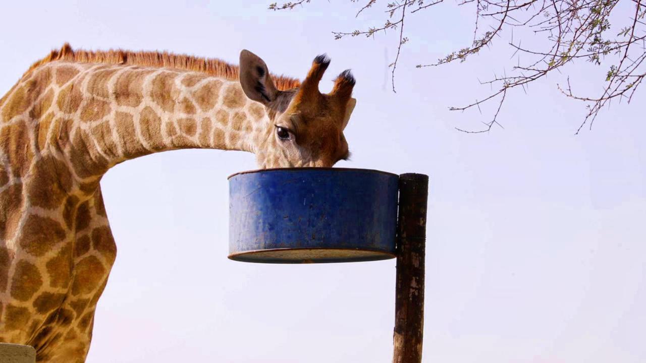 Uitkyk Guest Farm Hotel Usakos Luaran gambar